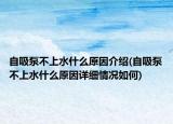 自吸泵不上水什么原因介绍(自吸泵不上水什么原因详细情况如何)