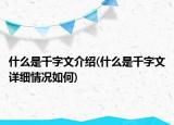 什么是千字文介绍(什么是千字文详细情况如何)