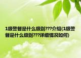 1级警督是什么级别???介绍(1级警督是什么级别???详细情况如何)