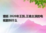 猎狐 2020年王凯,王鸥主演的电视剧叫什么