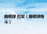 曲棍球 打架（曲棍球格斗）