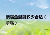 亲嘴鱼温度多少合适（亲嘴）