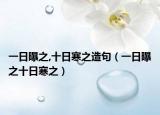 一日曝之,十日寒之造句（一日曝之十日寒之）