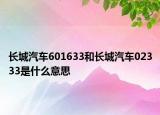 长城汽车601633和长城汽车02333是什么意思