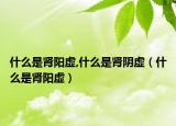 什么是肾阳虚,什么是肾阴虚（什么是肾阳虚）