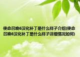 使命召唤6汉化补丁是什么样子介绍(使命召唤6汉化补丁是什么样子详细情况如何)
