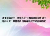 迪士尼的公主一共有几位(分别是谁呀介绍 迪士尼的公主一共有几位 分别是谁呀详细情况如何)
