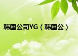 韩国公司YG（韩国公）