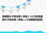 我是那小子的全部（转贴）11介绍(我是那小子的全部（转贴）11详细情况如何)