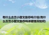 有什么古言小甜文推荐吗介绍(有什么古言小甜文推荐吗详细情况如何)
