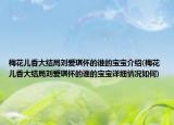 梅花儿香大结局刘爱琪怀的谁的宝宝介绍(梅花儿香大结局刘爱琪怀的谁的宝宝详细情况如何)