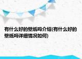 有什么好的壁纸吗介绍(有什么好的壁纸吗详细情况如何)