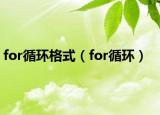 for循环格式（for循环）