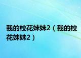 我的校花妹妹2（我的校花妹妹2）