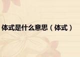 体式是什么意思（体式）