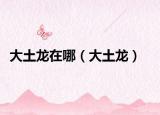 大土龙在哪（大土龙）