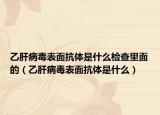 乙肝病毒表面抗体是什么检查里面的（乙肝病毒表面抗体是什么）