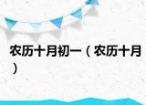 农历十月初一（农历十月）
