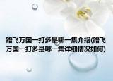 路飞万国一打多是哪一集介绍(路飞万国一打多是哪一集详细情况如何)