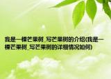我是一棵芒果树_写芒果树的介绍(我是一棵芒果树_写芒果树的详细情况如何)