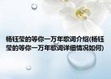杨钰莹的等你一万年歌词介绍(杨钰莹的等你一万年歌词详细情况如何)