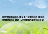 真的有炒股秘籍吗(降龙十八掌那样的介绍 真的有炒股秘籍吗 降龙十八掌那样的详细情况如何)