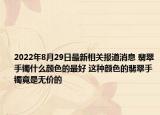 2022年8月29日最新相关报道消息 翡翠手镯什么颜色的最好 这种颜色的翡翠手镯竟是无价的