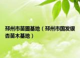 邳州市苗圃基地（邳州市国发银杏苗木基地）