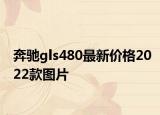 奔驰gls480最新价格2022款图片