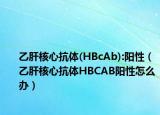 乙肝核心抗体(HBcAb):阳性（乙肝核心抗体HBCAB阳性怎么办）