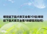 哪里能下载犬夜叉全集?介绍(哪里能下载犬夜叉全集?详细情况如何)