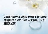 辛晓琪PROMISE(ME 中文版叫什么介绍 辛晓琪PROMISE ME 中文版叫什么详细情况如何)
