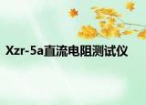 Xzr-5a直流电阻测试仪