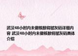 武汉48小时内未做核酸将赋灰码详细内容 武汉48小时内未做核酸将赋灰码具体介绍