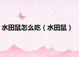 水田鼠怎么吃（水田鼠）
