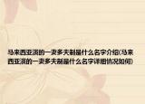 马来西亚演的一妻多夫制是什么名字介绍(马来西亚演的一妻多夫制是什么名字详细情况如何)