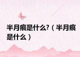 半月痕是什么?（半月痕是什么）