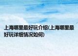 上海哪里最好玩介绍(上海哪里最好玩详细情况如何)