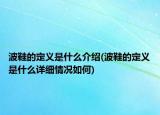 波鞋的定义是什么介绍(波鞋的定义是什么详细情况如何)
