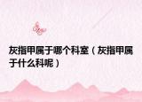 灰指甲属于哪个科室（灰指甲属于什么科呢）