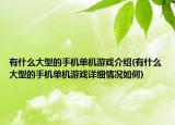 有什么大型的手机单机游戏介绍(有什么大型的手机单机游戏详细情况如何)