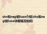 sho和nagi的luxe介绍(sho和nagi的luxe详细情况如何)