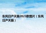 东风日产天籁2023款图片（东风日产天籁）