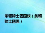 条顿骑士团国旗（条顿骑士团国）