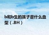 b和b生的孩子是什么血型（.BH）