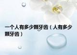 一个人有多少颗牙齿（人有多少颗牙齿）