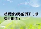 感受性训练的例子（感受性训练）