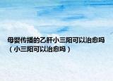母婴传播的乙肝小三阳可以治愈吗（小三阳可以治愈吗）