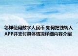 怎样使用数字人民币 如何把钱转入APP并支付具体情况详细内容介绍