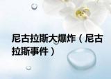 尼古拉斯大爆炸（尼古拉斯事件）